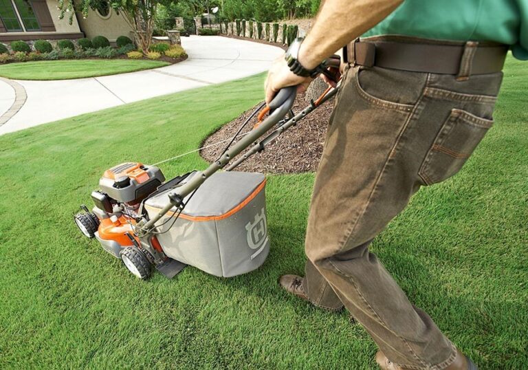 Tagliaerba rasaerba per la cura del prato e per il giardino